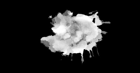 Wall Mural - abstract paint brush stroke shape white ink splattering flowing and washing on chroma key green scre