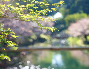 日本の風景