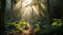 Sunlight Filtering Through Trees On A Misty Path In The Woods, Creating A Serene Landscape With Greenery. Generative Ai