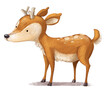 Isolated young deer illustration