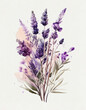Watercolor Bouquet of Lavender Illustration Isolated on White Background. Colorful Digital Floral Art