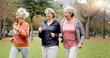 © N F/peopleimages.com - Senior women, walking and friends with fitness, wellness and workout for health in retirement. Park, exercise and elderly female group with motivation and power walk for cardio outdoor together