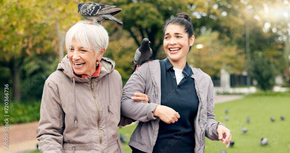 Senior woman, walker and nurse outdoor in a park with healthcare for ...