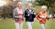 © N F/peopleimages.com - Senior women, walking and friends with fitness, wellness and workout for health in retirement. Park, exercise and elderly female group with motivation and power walk for cardio outdoor together