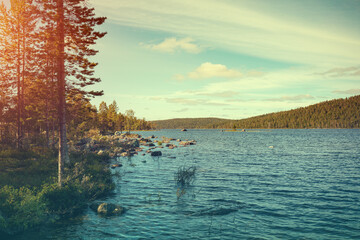 Wall Mural - Trees on the rocky shore of a lake in front of the mountains