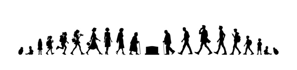 Wall Mural - Vector illustration. Silhouette of growing up man from baby to old age. Many people of different ages in a row.