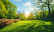 © Bartek - Vibrant spring nature backdrop with a pristine, neatly trimmed lawn and lush trees under a clear blue sky adorned with soft clouds on a sunny day