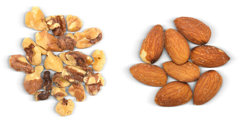 Groups of Almonds and Walnuts Isolated - Raw & Natural