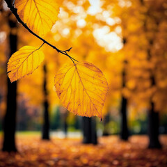 Wall Mural - autumn leaf fall season, yellow leaf on a tree branch in the autumn park