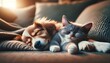Joli duo de mammifères domestiques, un chat et un chien, en parfaite harmonie. Leurs fourrures douces se mêlent en une scène paisible, capturant l'essence de l'amitié entre animaux de compagnie.