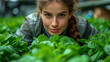 The technologist observes the process of selection and production of spinach at the food in