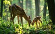 doe and her fawn peacefully grazing in a dappled woodland
