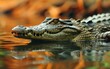 shot of a crocodile profile against a backdrop of rippling water