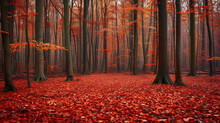 An Autumnal Forest With Vibrant Red And Orange Leaves A Carpet Of Fallen Leaves On The Forest Floor.