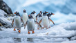 A group of penguins waddling on an icy Antarctic shore their playful antics creating a charming and humorous scene.
