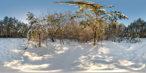 Wall Mural - winter full spherical hdri 360 panorama view road in snowy forest with blue evening sky in equirectangular projection. VR AR content