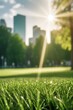 Green lawn with fresh grass with blurry background of a city park with tall buildings in the background on a bright sunny day.