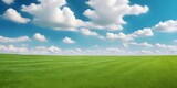 Fototapeta Przestrzenne - Green lawn with fresh mown grass against a background of blue sky with clouds.
