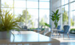 Defocused background of a modern spacious business office with panoramic windows and green flowers in a pot.