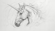 pencil drawing of unicorn head