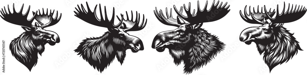 moose black and white vector graphics set Stock Vector | Adobe Stock