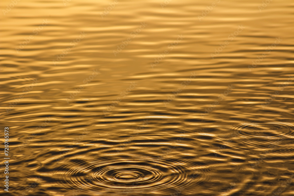 Illuminated Golden Ripple Effects in Lake Water at Sunrise or Sunset w ...