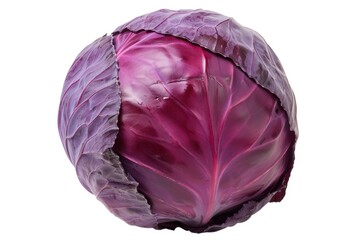 Poster - A detailed view of a purple cabbage against a plain white background. This image can be used for various purposes