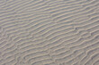 Wet brown sand on the beach in summer, Beautiful structure texture on the sand with lines or ripples, Nature pattern with free copy space, Can be used as background, Display or montage your products.