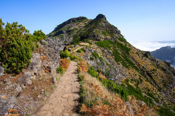 Wall Mural - Stone hideaway used as a mountain shelter on the way to the summit of the Pico Ruivo, the highest mountain peak in the center of Madeira island (Portugal) in the Atlantic Ocean