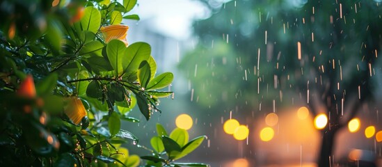 Poster - enjoying the rainy day in the city: plants brings life to the rainy day cityscape