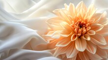 Captivatingly Delicate, A Peach Dahlia Blooms Indoors, Showcasing Its Intricate Petals In A Mesmerizing Display Of Natural Beauty