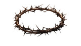 Fototapeta  - crown of thorns of jesus