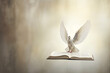 Fliegende Taube im Licht, Zeichen für Frieden, Religion, Christentum, Ostern, Freiheit, Hochzeit, Liebe