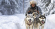 Siberian husky dog sledding with man in winter forest