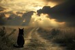 A black cat following a path to the horizon