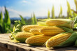 Bright yellow corn, ready for harvest, displayed on rustic wood, symbolizing healthy eating and agricultural prosperity with space for advertising.