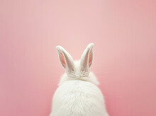 Cute White Rabbit On Pink Background. Space For Text. 