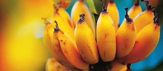 Poster - Vibrant Yellow Bananas in Stunning Close-Up, Set Against a Captivating Background