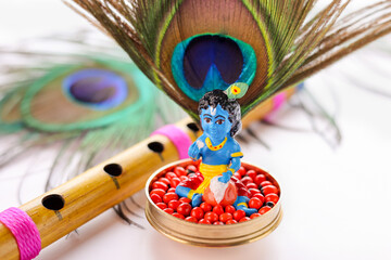 Wall Mural - Sri Krishna statue with peacock feather. Lord Krishna Standing with Flute