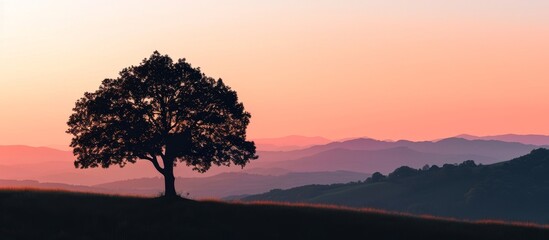 Poster - Captivating Summer Silhouette: Tree Stands Tall Behind Picturesque Valley