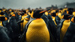 King Penguin Standing Out in the Crowd.A single king penguin stands prominently among a blurred gathering of its colony, showcasing its vivid orange and yellow plumage.
