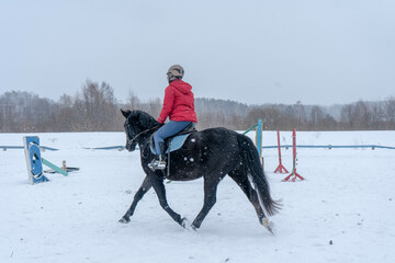 horse winter snow animal nature white equestrian cold young female woman beauty horseback caucasian ride black equine fa