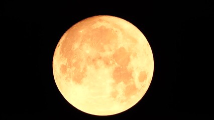 Wall Mural - A glowing golden huge full moon seen from earth through the atmosphere against a starry night sky. A large full moon moves across the sky, the moon moving from the left frame to the right.