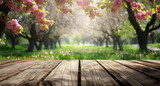 Fototapeta  - A beautiful spring background with an empty wooden table set in the outdoor nature, surrounded by blooming trees.