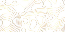 Abstract Background With Topographic Contours Map With Geographic Golden Line Map .white Wave Paper Curved Reliefs Abstract Background .vector Illustration Of Topographic Line Contour Map Design .