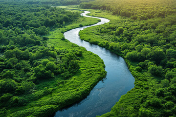 Wall Mural - Aerial view of a winding river cutting through a lush green landscape, showcasing nature's meandering artistry. Concept of natural landscapes from above. Generative Ai.