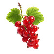 Red currant isolated on transparent background. Clipping path included.