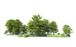 © Elscar Studios - Green forest isolated on background. 3d rendering - illustration