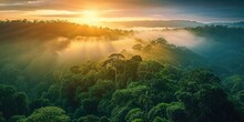 Dramatic Aerial Photograph Of The Jungle At Sunrise. Beautiful Natural Background