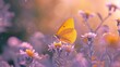 As dawn breaks, a yellow butterfly with gossamer wings alights on a cluster of wild daisies, enveloped in a warm, hazy glow.